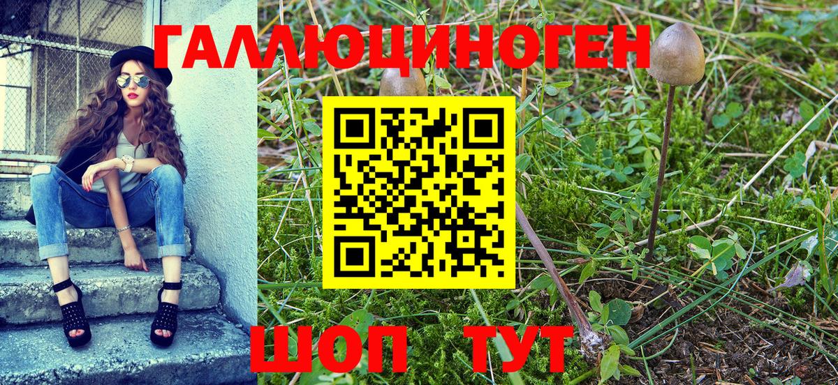 Псилоцибиновые грибы мухоморы  Вход с VPN  Кубинка 